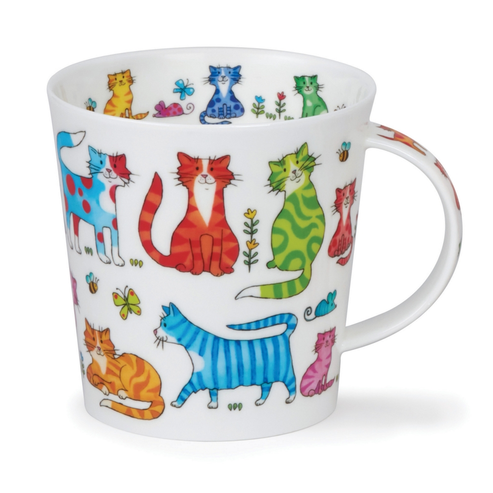 CAIR COLOURFUL CREW CAT