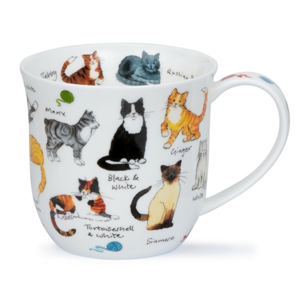 CUMBRAE CAT BREEDS