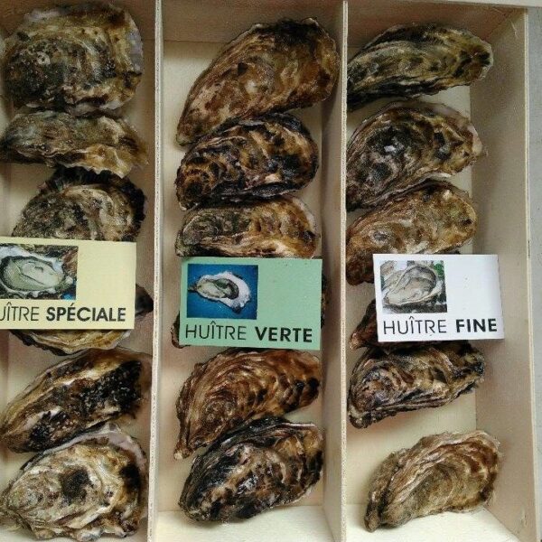 Bourriche dégustation: 6 huîtres fines, 6 spéciales et 6 longues