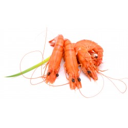 CREVETTE ROSE 40/60 LOT DE 2KG