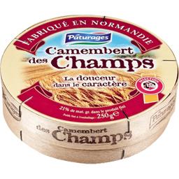 paturages-camembert-des-champs-douceur-et-caractere