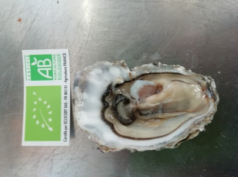 Huîtres Fines Bio Courdavault Alain: 2 Douzaines Calibre 3 (65/84 Grammes)