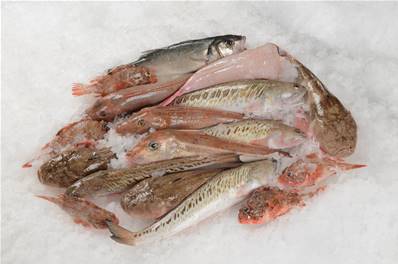 POISSONS POUR LA BOUILLABAISSE