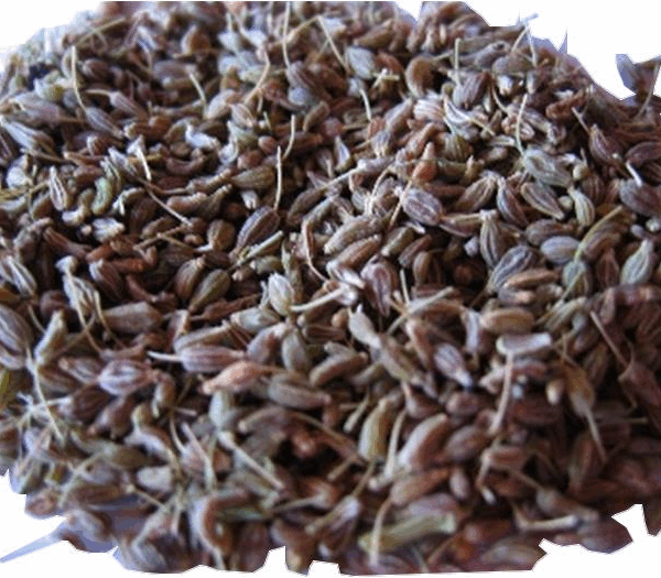 ANIS VERT EN GRAIN AU KILO