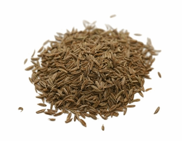 CUMIN EN GRAINS AU KILO