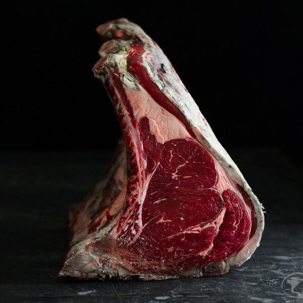 CHIANINA TOSCANE