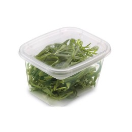 Boîte plastique transparente avec couvercle Prestipack 450 ml - par 600