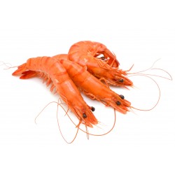 CREVETTE ROSE 20/30 LOT DE 2KG