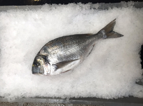 Dorade Royale Sauvage - Pièce de 1,8kg - Vidée