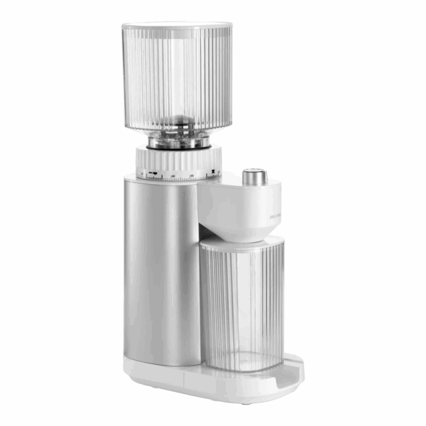 Broyeur à café Enfinigy Argent Zwilling