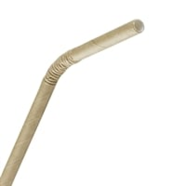 Pailles en papier flexibles compostables Fiesta Compostable noires (lot de 250)