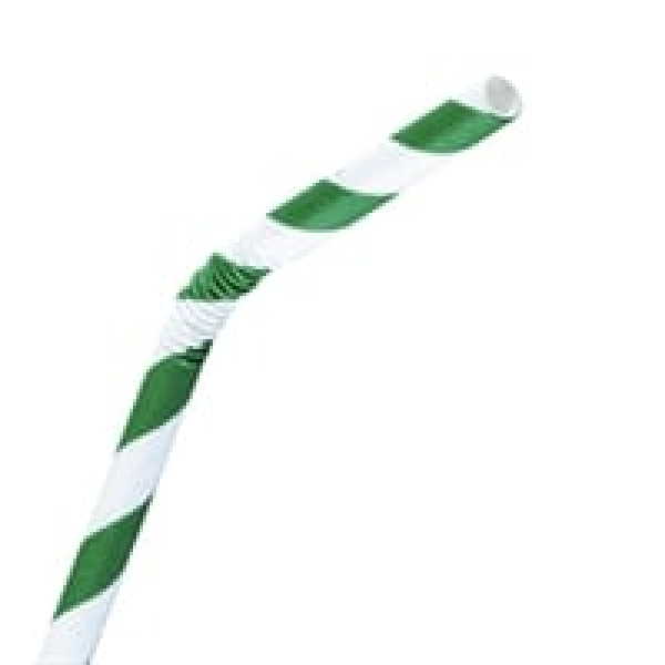 Pailles en papier flexibles Recyclables Fiesta Recyclable rayures vertes (lot de 250)