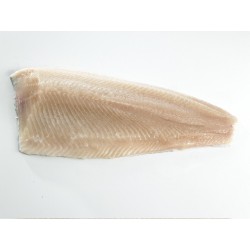FILET DE TRUITE FARIO LOT DE 1KG