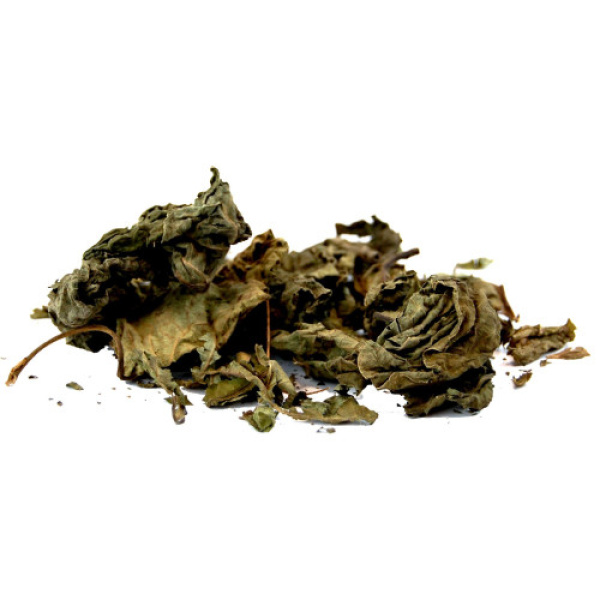 Hoja Santa