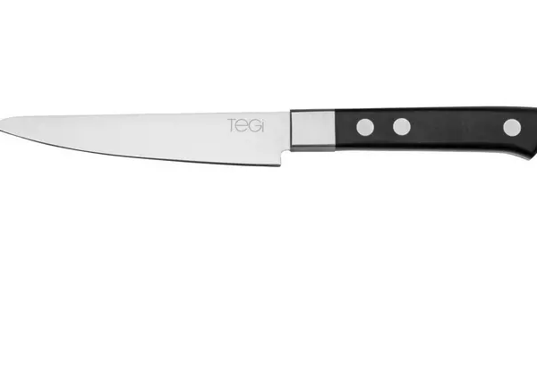 Maserin TEGI 2500-12PN couteau à steak noir, 12 cm