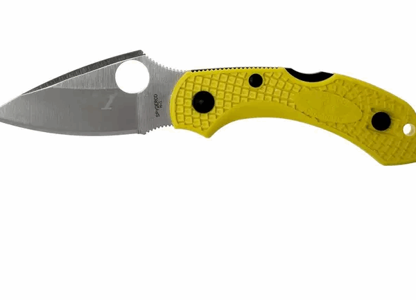 Spyderco Dragonfly 2 Salt C28PYL2 couteau de poche