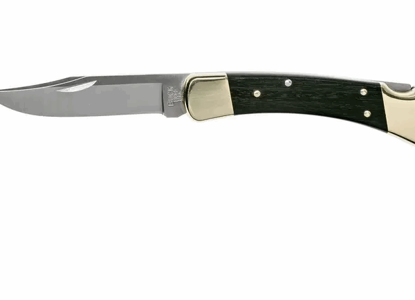 Chasseur pliant Buck 110