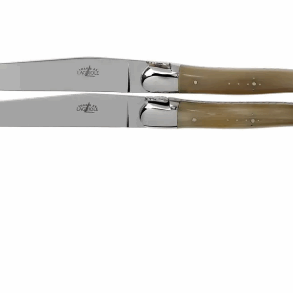 Forge de Laguiole T22MINBC set de 2 couteaux à steak en corne polie