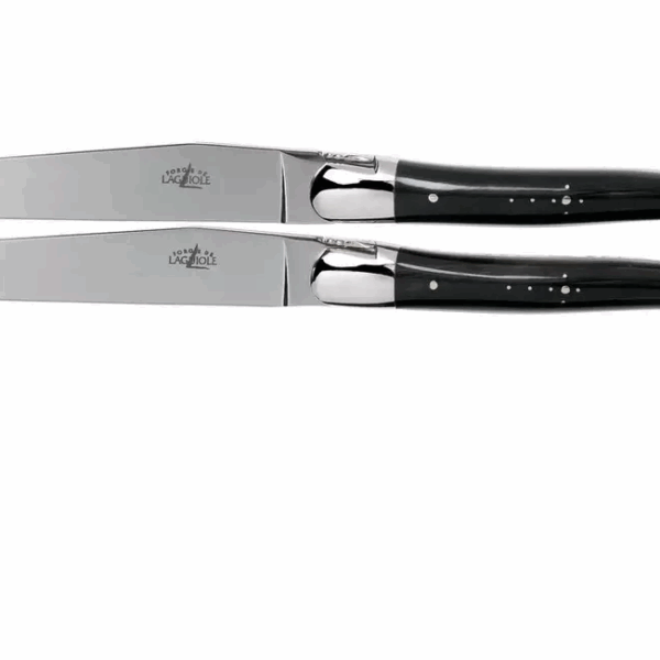 Forge de Laguiole T22MINBF corne polie set de 2 couteaux à steak