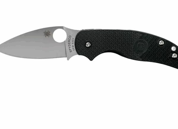 Spyderco Sage 5 Light-weight C123PBK FRN couteau de poche