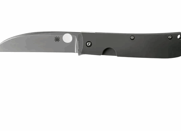 Couteau de poche Spyderco SwayBack C249TIP, design Marcin Slysz