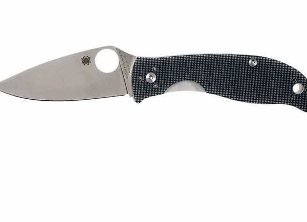 Couteau de poche Spyderco Polestar C220GPGY, design Sal Glesser