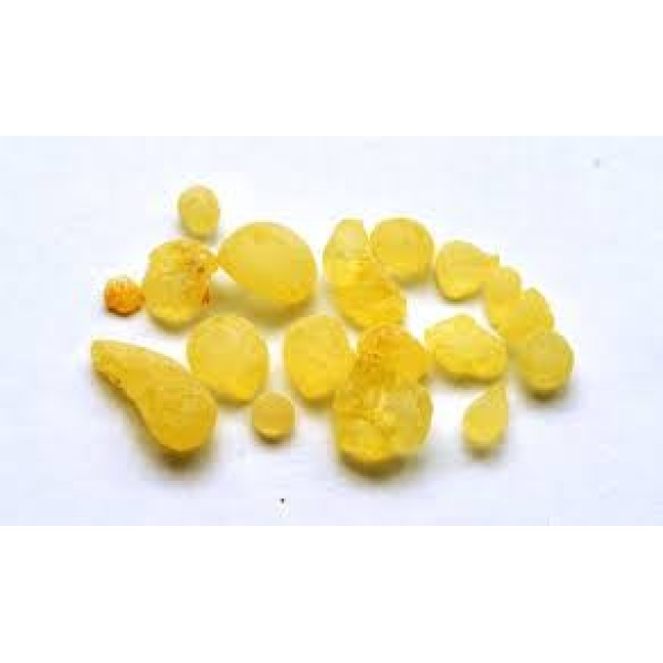 Gum Mastic