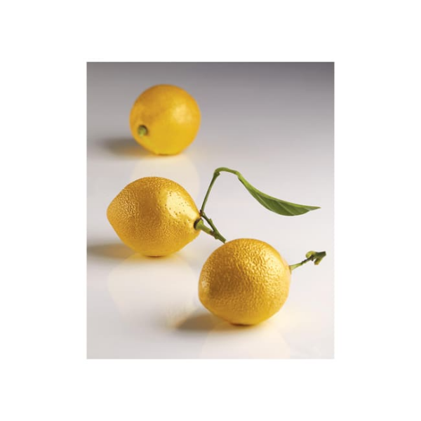 Moule silicone 3D Citron format individuel
