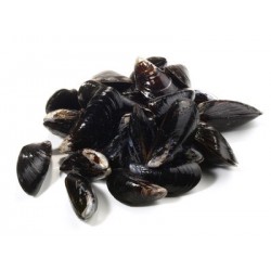 MOULE DE BOUCHOT OU CORDE SAC 5KG