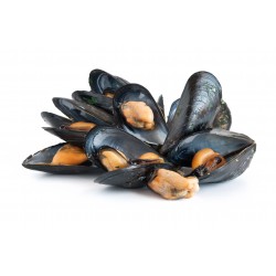 MOULE DE CORDE 4 X 1,4KG