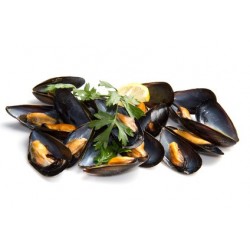 MOULE DE HOLLANDE LOT 4KG