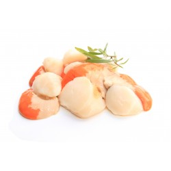 NOIX DE SAINT JACQUES LOT DE 2KG