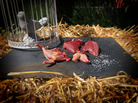 Pigeonneau Découpé