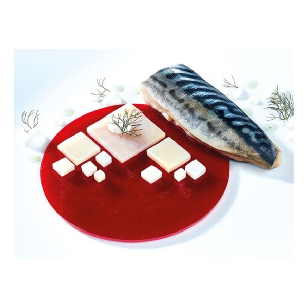 Plaque silicone 6 empreintes grand disque