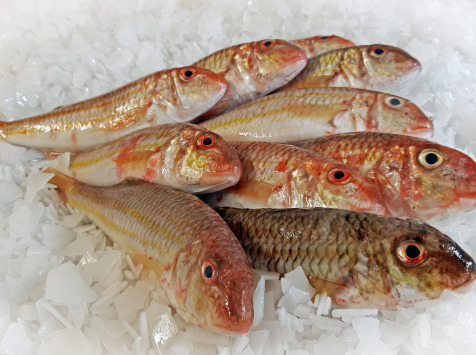Rouget Barbet Lot De 1kg (300/500g Par Piece)