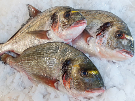 Dorade Royale Vidée 1kg