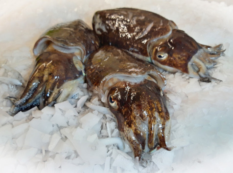 Seiche En Blanc - Lot De 1kg