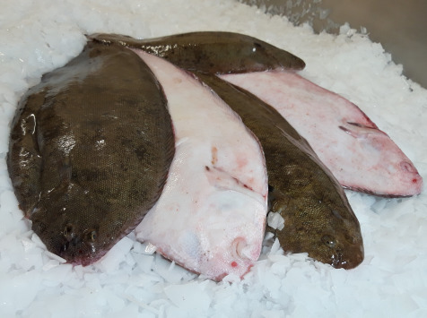 Sole Vidée 500g