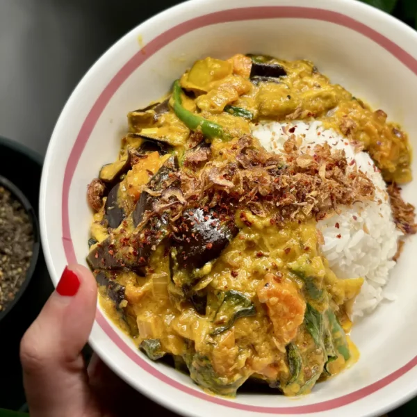 Eggplant and Leek Curry