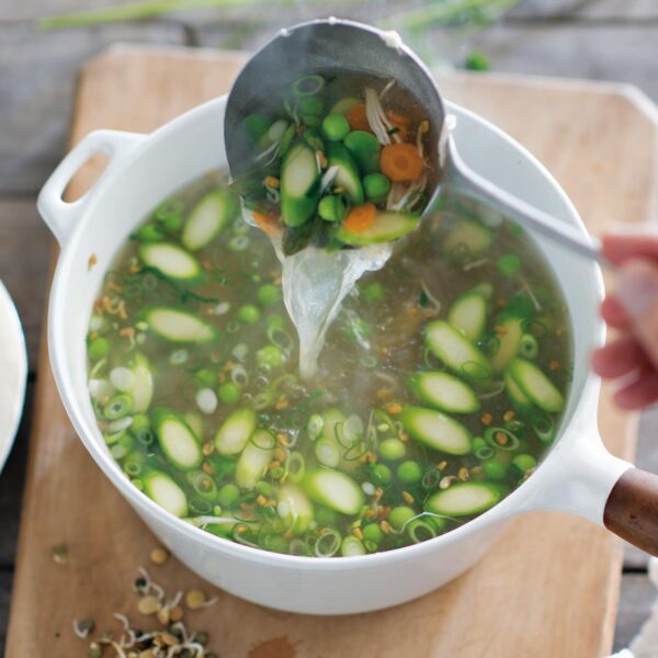 Spring Vegetable Chicken Soup