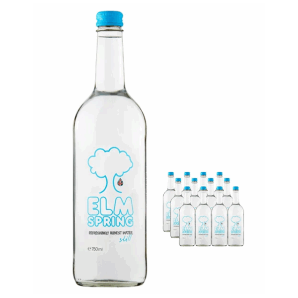 Elm Spring Still Water Glass Bottle 750ml (12 Pack)