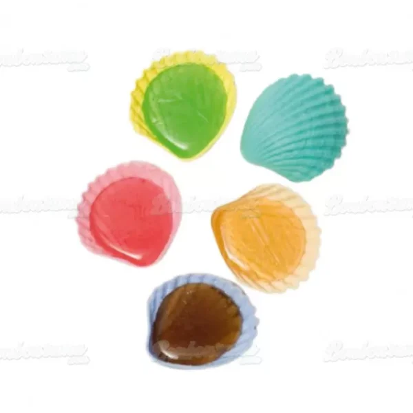 Roudoudou Coquillage
