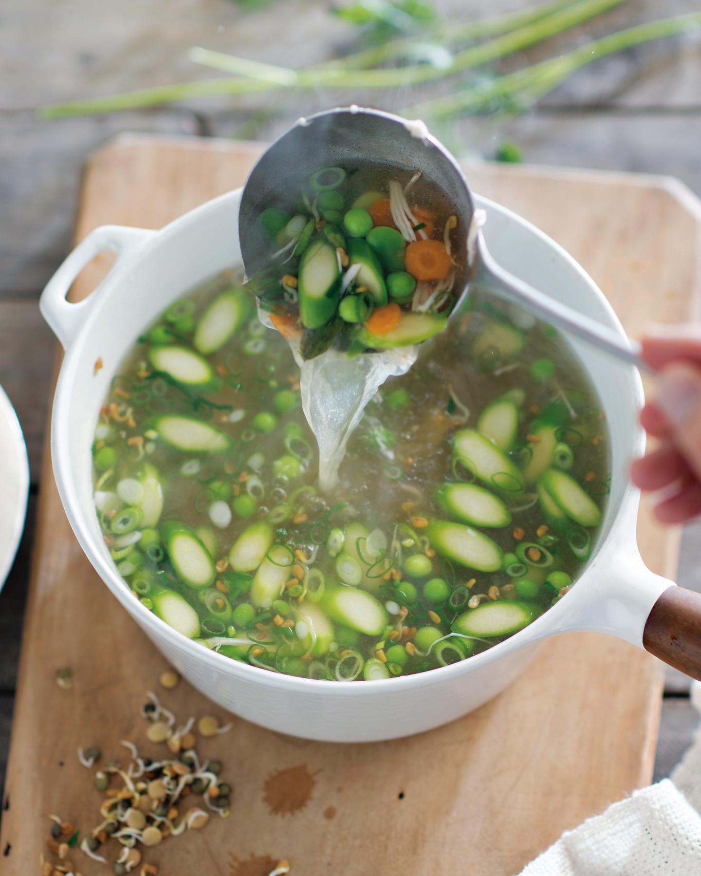 Spring Vegetable Chicken Soup
