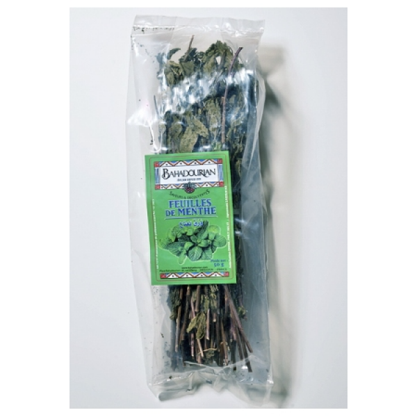 Menthe Séchée «Nana»