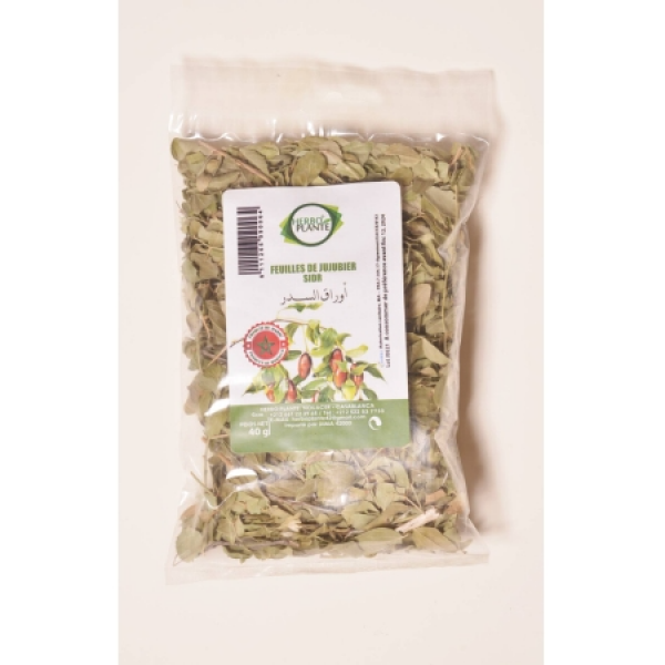 Feuilles de Jujubier Sidr Séchées