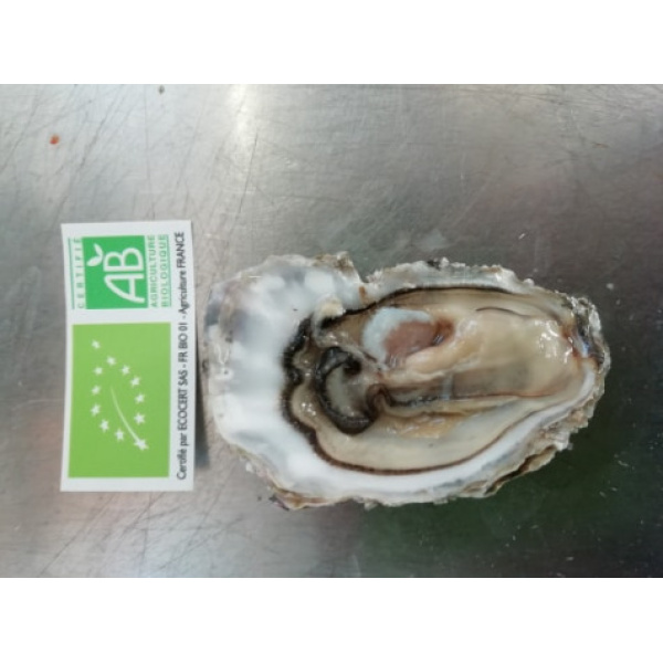 Huîtres Fines Bio Courdavault Alain: 2 Douzaines Calibre 3 (65/84 Grammes)