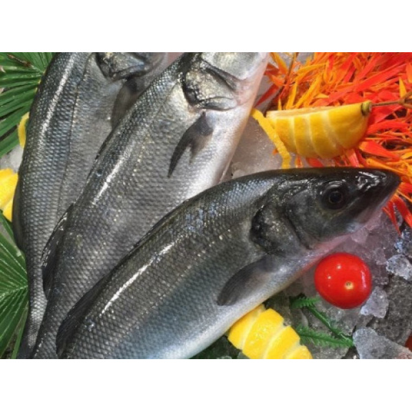 Loup Bio - 500g - Vidé