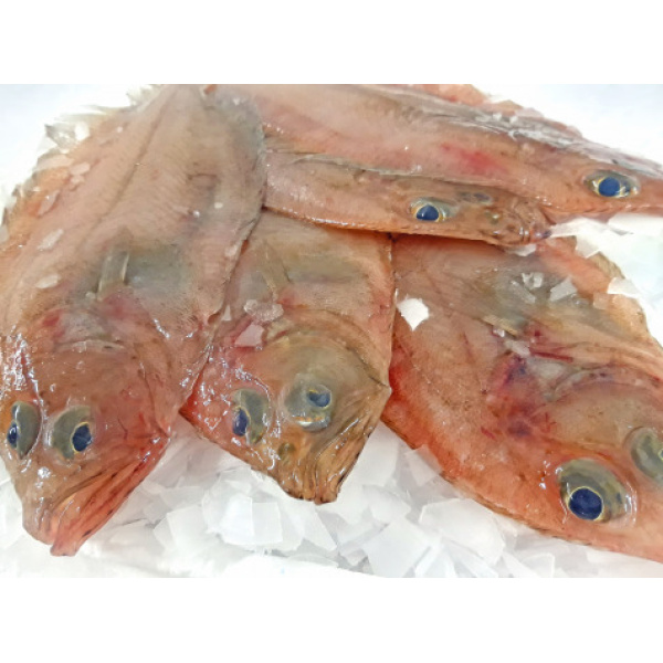 Limande Cardine Lot De 1kg (100gr/300gr Par Pièce)