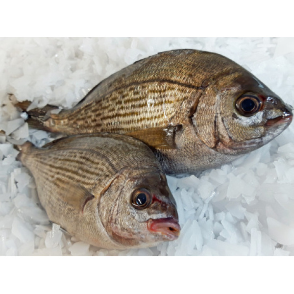 Dorade Grise Vidée 900g