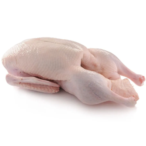 CANARD SAUVAGE (1), PRÊT À CUIRE